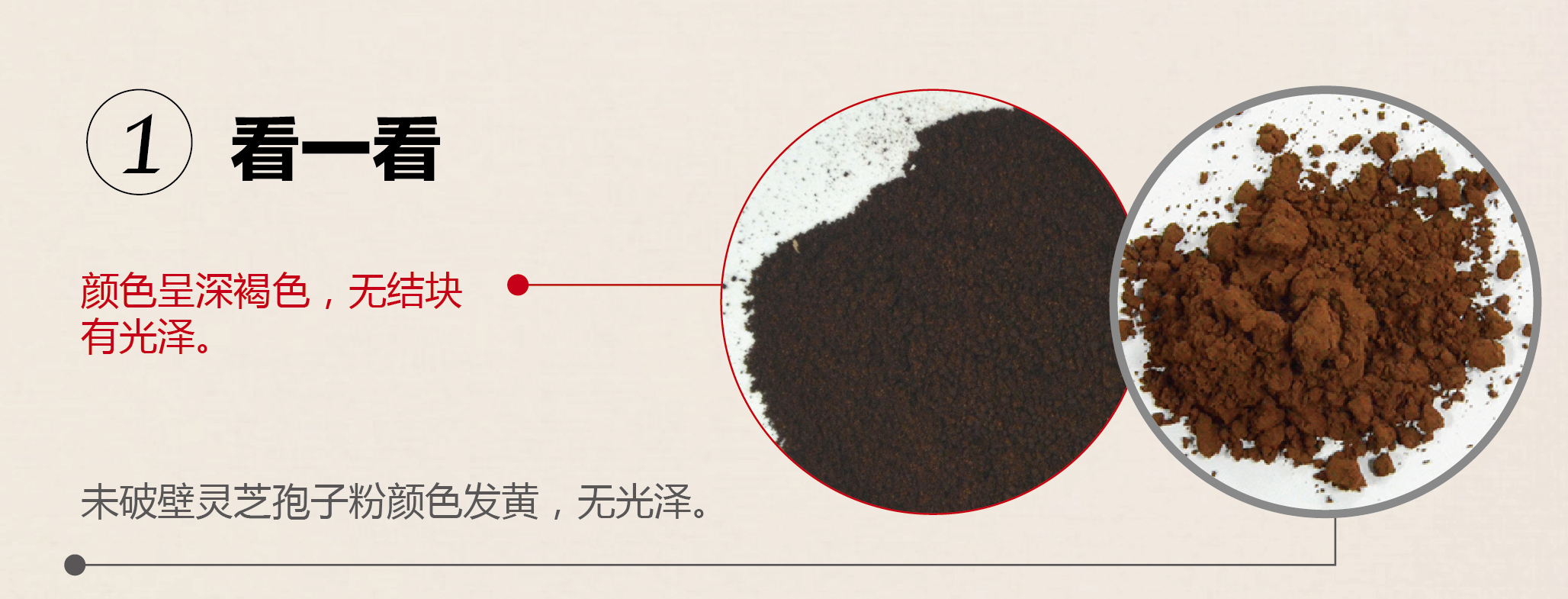 菇新破壁靈芝孢子粉辨別方法