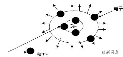 靈芝孢子粉中含有天然有機(jī)鍺