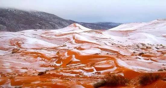 撒哈拉沙漠雪景