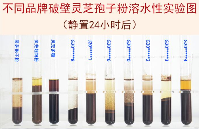 不同品牌破壁靈芝孢子粉溶水性對照