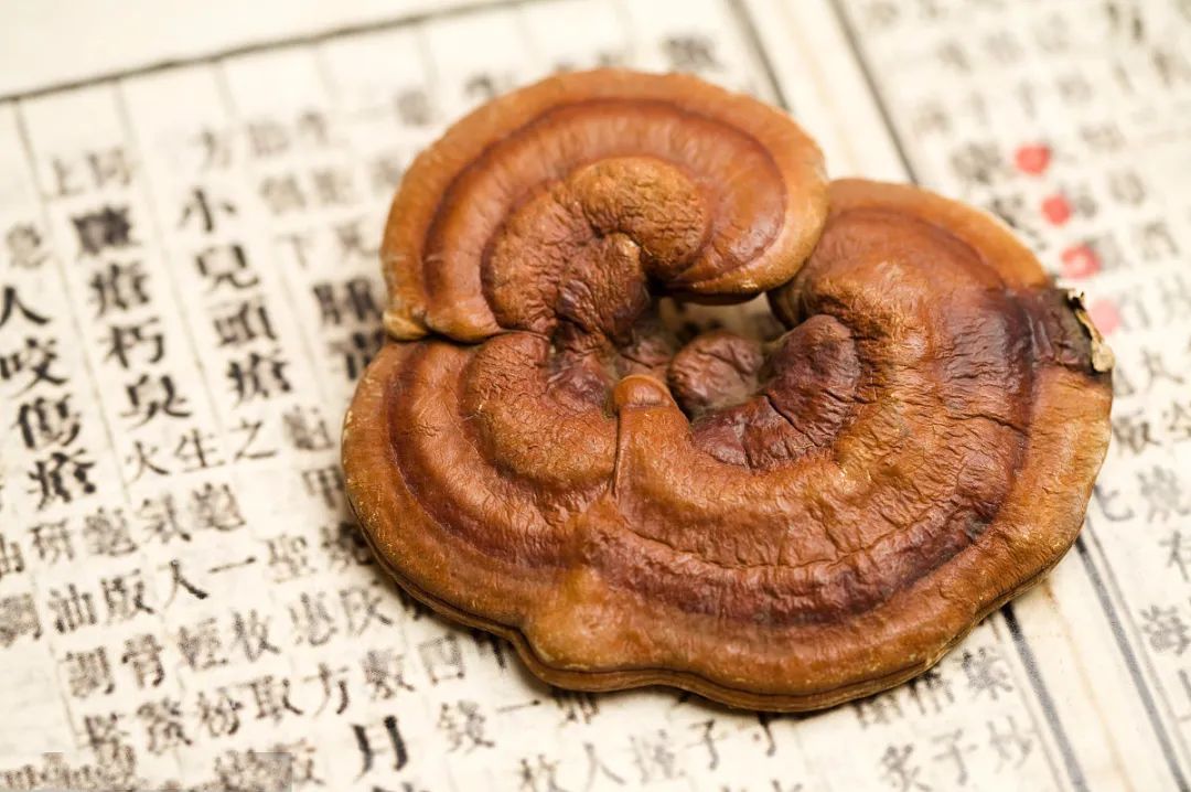 靈芝與美容養(yǎng)顏